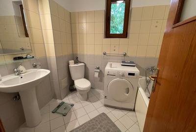 APARTAMENT IN VILĂ 5 CAMERE,4 BĂI,3 TERASE, PARCARE,CURTE,PANOURI FOTOVOLTAICE - 18