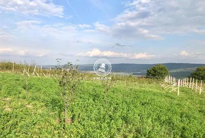 Teren de 6800 mp, în Mogoșești - 6