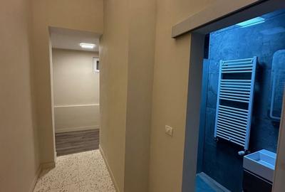 Casa Lipovei transformata in SAD - 11