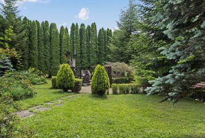 Domeniul Carpați - Vilă cu parc privat si panoramă montană ideal Airbnb/Booking - 3