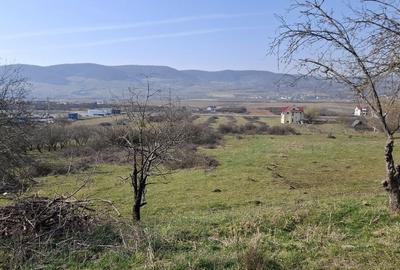 Teren de 14500 mp, în Exterior Vest - 7