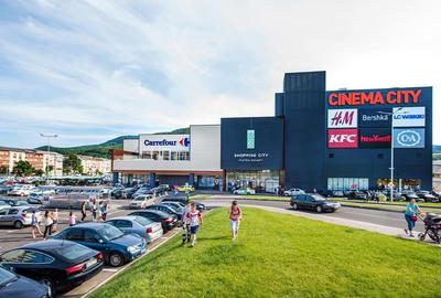 Apartament cu 3 camere decomandat, mobilat în Precista - 16