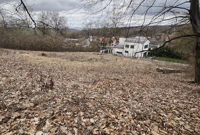 Spațiu comercial, în Făget - 1