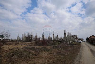 Teren Construcții intravilan de 6900 mp, în Șcheia - 8