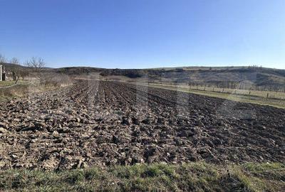 Spațiu comercial, în Central - 2