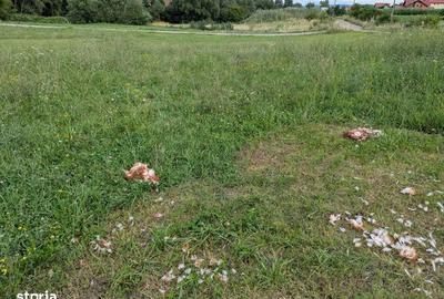 Teren de 5000 mp, în Mărăști