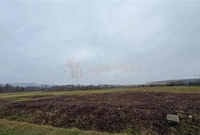 Parcele de teren industrial, Tautii Magheraus - 2