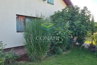Vila in Moara Vlasiei - 5