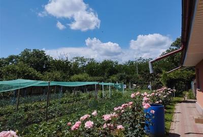 Vila, Republicii, Bacau - 11