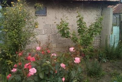 Casă cu 2 camere cu Teren 629 Mp în Sud