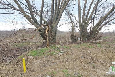 Teren Construcții intravilan de 1171 mp, în Palanca - 2