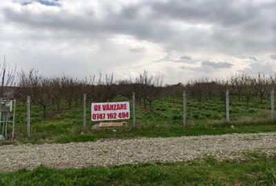 Teren de 5800 mp, în Mădârjești - 2