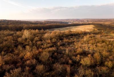 Teren intravilan de 4333 mp, în Săldăbagiu de Munte - 11