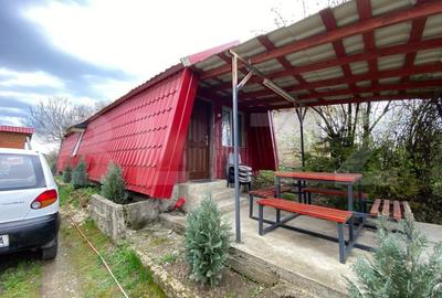 Casa Bontida cu mai multe anexe de inchiriat pe parcursul festivalului Electric - 10