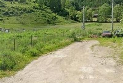 FILM! Teren 33.274 mp, Tulghes, Harghita, panorama munte, destinatie recreativa - 6