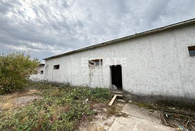 Spațiu industrial, de 232 mp, în Orțișoara - 1