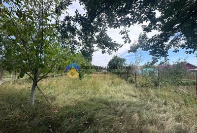 Teren + Casa de Vanzare 1170 mp Dumbrava Ro?ie, N - 2