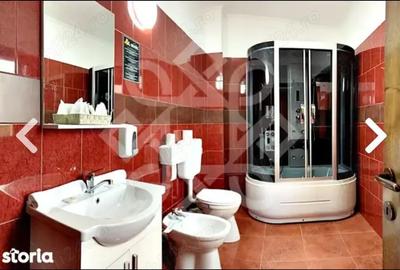 Spațiu comercial, de 2,900 mp, în Băile Felix - 4
