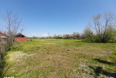 Teren de 1981 mp, în Chișlaz - 4