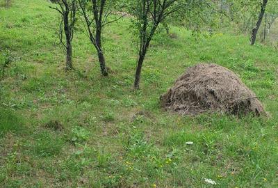 Teren de 2900 mp, în Aluniș