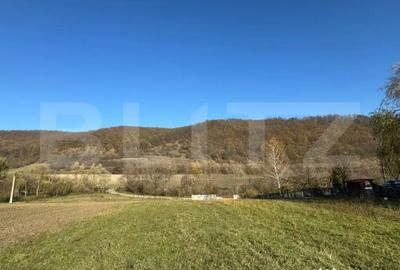 Teren de 2700 mp, în Cozia - 2
