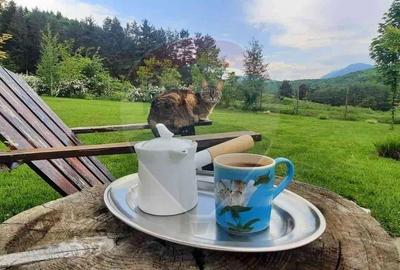 Casă cu 2 camere cu Teren 3100 Mp în Tărlungeni - 3