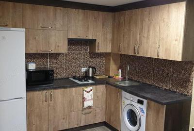 Apartament cu 2 camere Giurgiului - 2