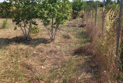 Spațiu comercial, în Mânăstirea - 7