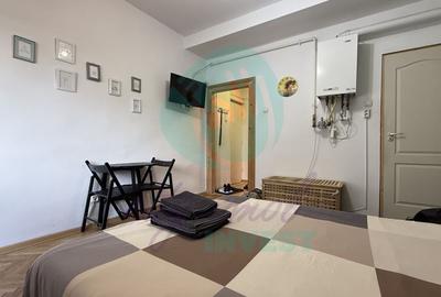 Garsonieră pentru Airbnb, central – Armenesc, lift, credit OK - 5