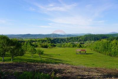 Teren 15,000mp Sighetu Marmatiei / Strada Mocanitei - 2
