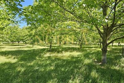 Spațiu comercial, în Central - 3