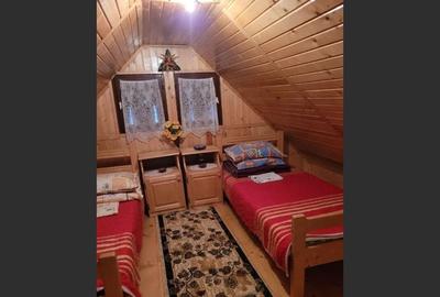 Proprietate Unică în Inima Naturii - Galaoaia, Mureș - 7