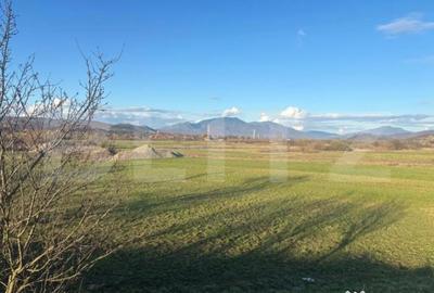 Teren de 1000 mp, în Central