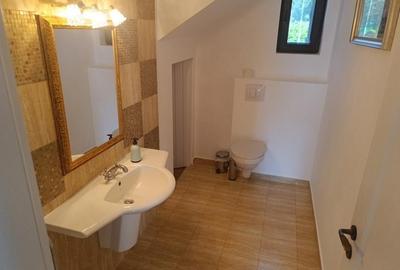 Casă individuală cu 4 camere cu Canalizare în Ciofliceni - 20