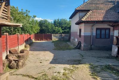 Casă cu 5 camere cu Teren 1574 Mp în Grojdibodu - 4