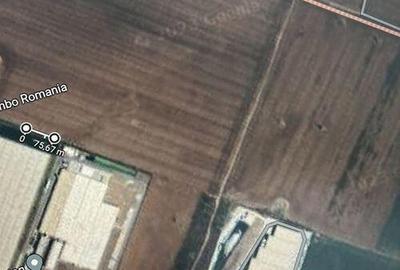 Teren ideal hala industriala Popesti Leordeni ( Jumbo ) - 5
