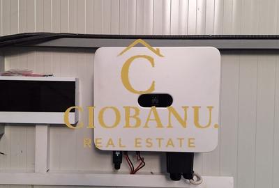 Hala de vanzare in Racarii de Jos - 6