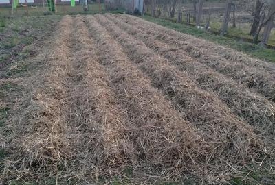 Casă cu 4 camere în Petid - 10