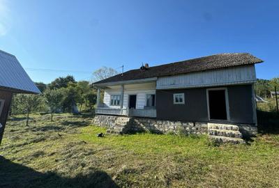 Casă cu 3 camere în Lepșa - 3