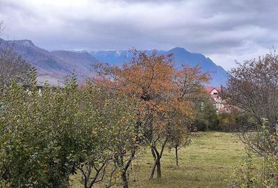 Casa de vacanta tip duplex, intrarea in Bran. - 1