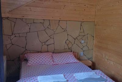 Cazare la munte - Cabana de 5 stele - 1