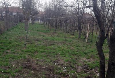 Casă cu 3 camere cu Teren 1200 Mp în Vladimirescu - 8