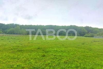 Teren de 712 mp, în Cisnădioara - 2