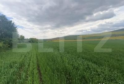 Teren de 52600 mp, în Unirea - 4