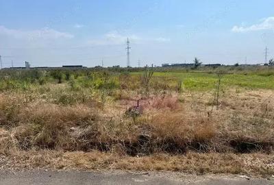 Teren Domnesti- Fortului. - 2