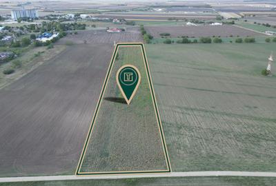 Teren intravilan cu poțențial de 25500 mp in Pecica - 3