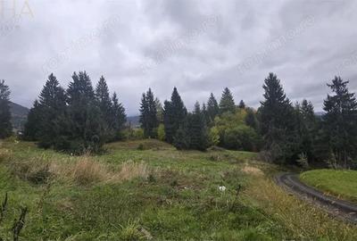 Teren de 4149 mp, în Colibița - 5