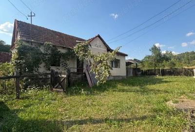 Casă cu Teren 3000 Mp în Groși - 2