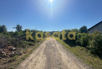 Teren Construcții intravilan de 1000 mp, în Tâncăbești - 2