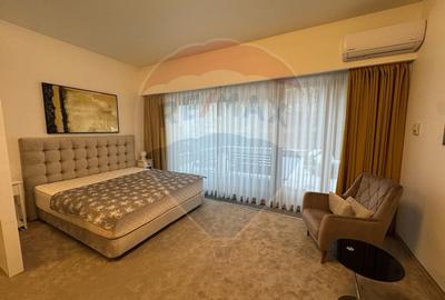 Apartament cu 1 camere, mobilat în Drumul Poienii - 5